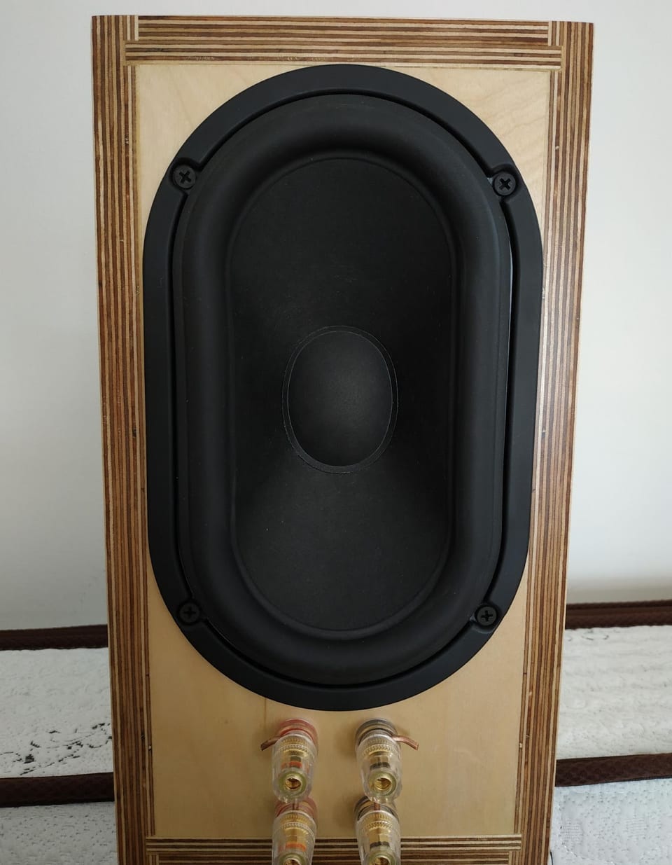 Rear panel of a plywood speaker cabinet with a black oval racetrack passive radiator above four gold binding posts.